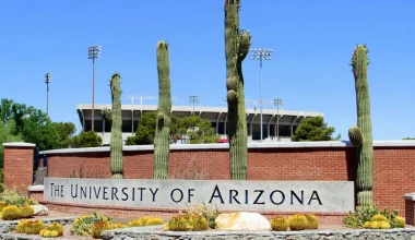 Study in US: University of Arizona Opens Applications For UG, Online Courses; Know More