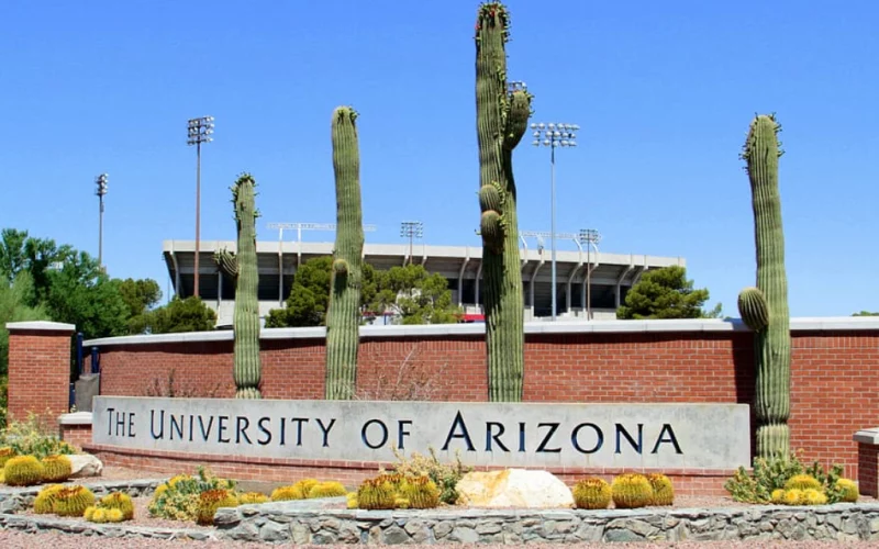 Study in US: University of Arizona Opens Applications For UG, Online Courses; Know More