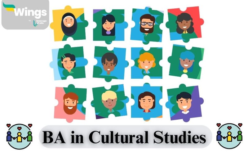 BA in Cultural Studies