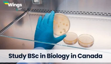 Study BSc in Biology in Canada