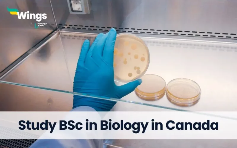 Study BSc in Biology in Canada