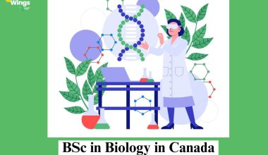 BSc in Biology in Canada
