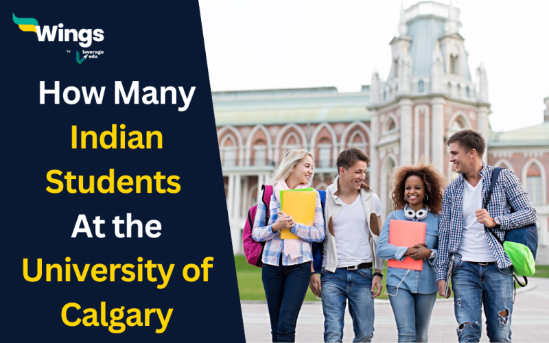 How Many Indian Students Are in the University of Calgary