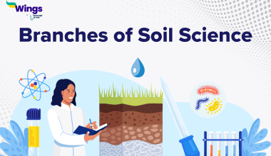 Branches-of-Soil-Science