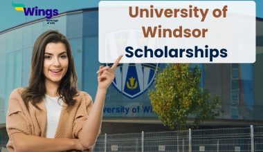 university of windsor scholarships