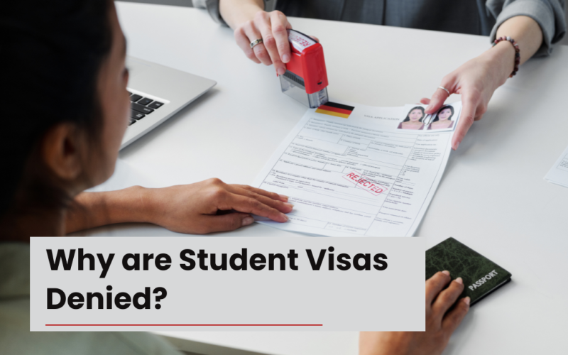 Why are Student Visas Denied?