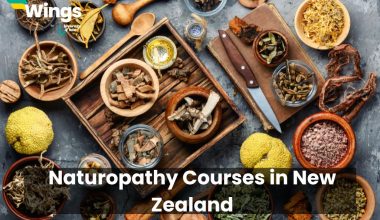 Naturopathy-Courses-in-New-Zealand