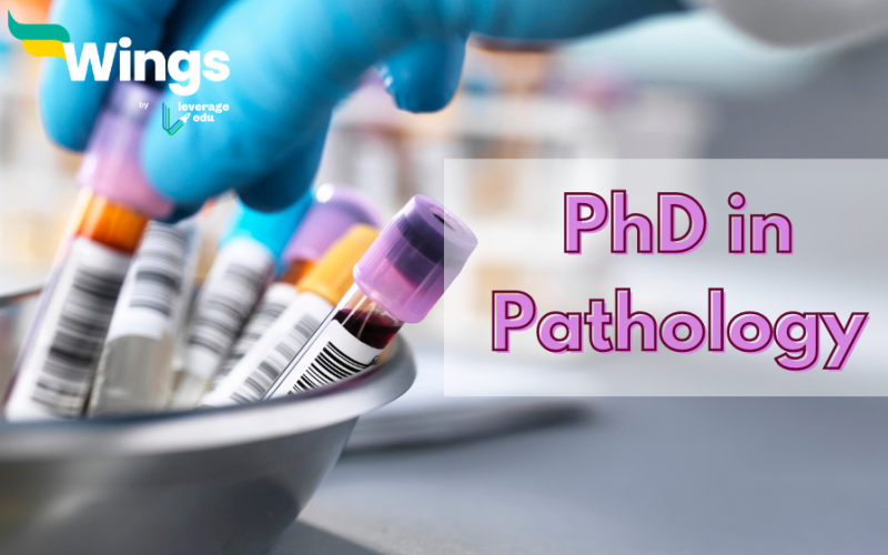 phd in pathology