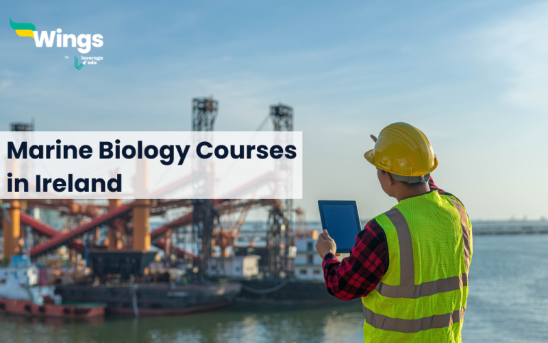 Marine-Biology-Courses-in-Ireland.