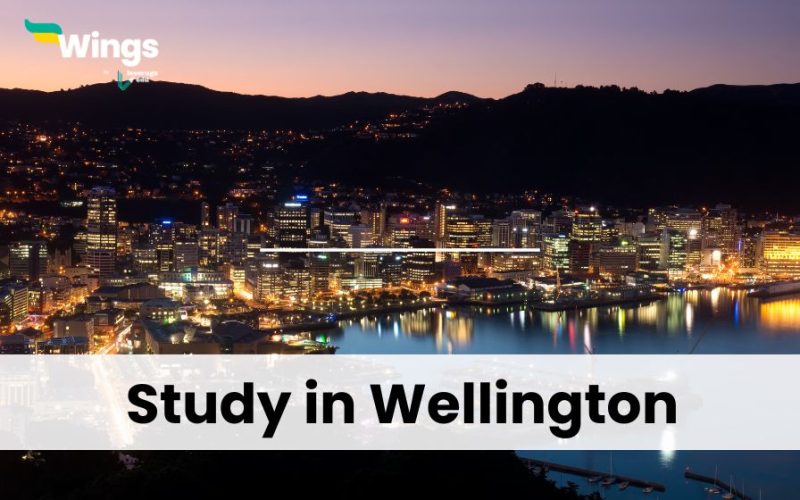 Study-in-Wellington