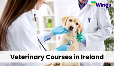 Veterinary-Courses-in-Ireland