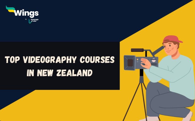 top-videograpghy-courses-in-new-zealand