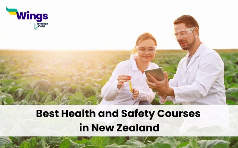 Best-Health-and-Safety-Courses-in-New-Zealand