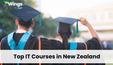 Top-IT-Courses-in-New-Zealand