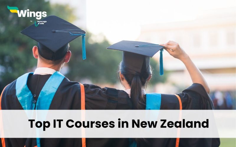 Top-IT-Courses-in-New-Zealand