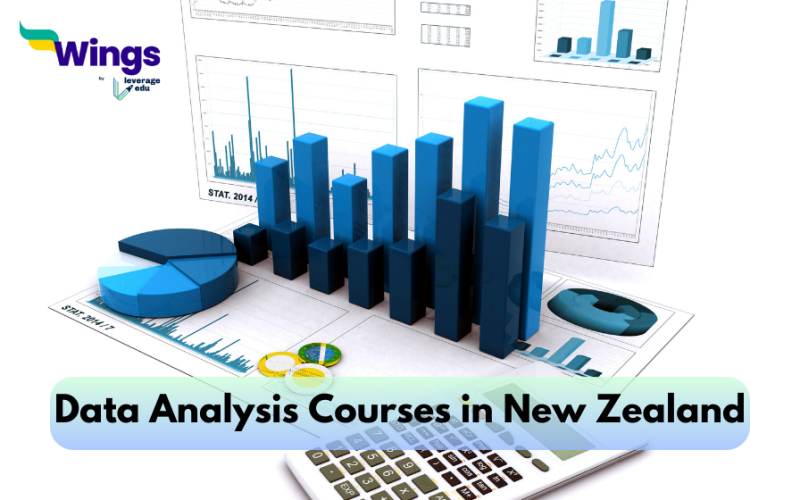 data analysis courses nz