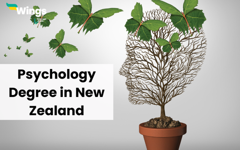 Psychology degree in New Zealand