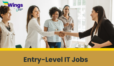 Entry-Level IT Jobs