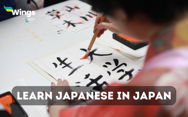 learn japanese in japan
