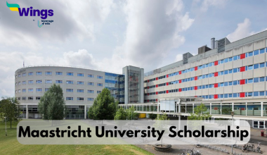 maastricht university scholarship