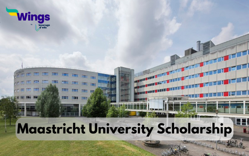maastricht university scholarship