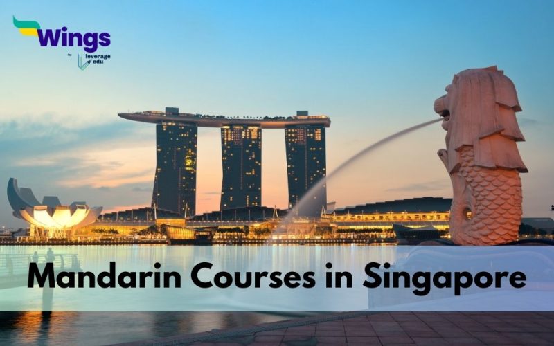 Mandarin-Courses-in-Singapore