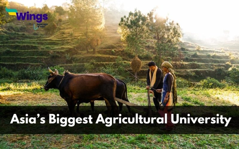 Asias-Biggest-Agriculture-University