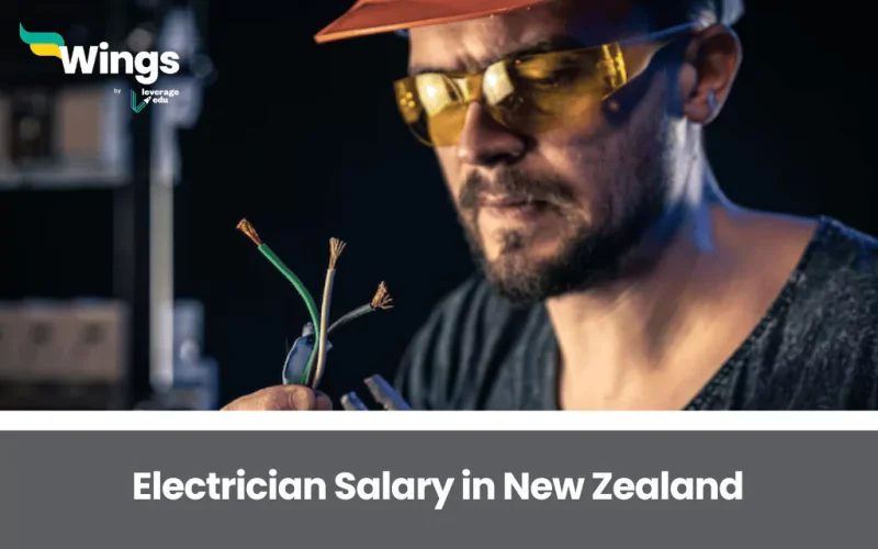 Electrician Salary in New Zealand