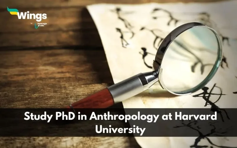Study-PhD-in-Anthropology-at-Harvard-University.