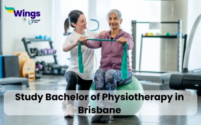 Study-Bachelor-of-Physiotherapy-in-Brisbane
