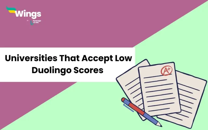 Universities-That-Accept-Low-Duolingo-Scores