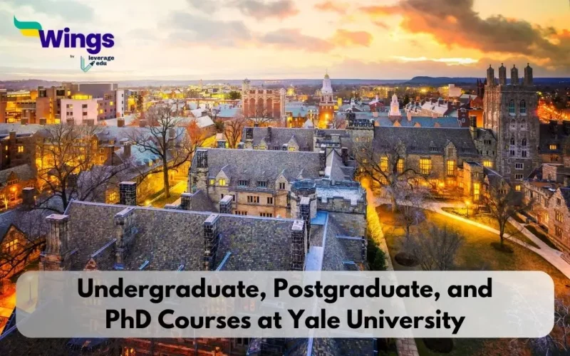 Undergraduate-Postgraduate-and-PhD-Courses-at-Yale-University