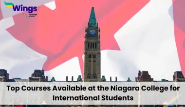 Top-Courses-Available-at-the-Niagara-College-for-International-Students