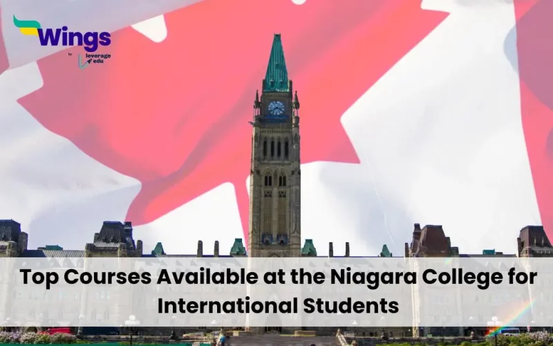 Top-Courses-Available-at-the-Niagara-College-for-International-Students