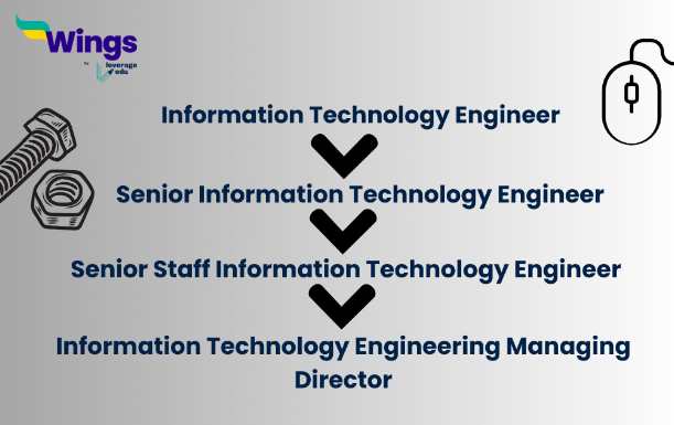 All You Need to Know About: What Does an IT Engineer Do? | Leverage Edu