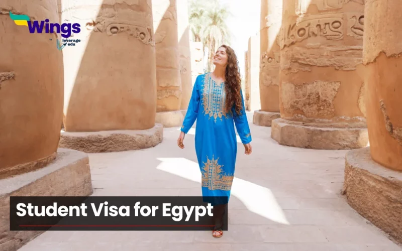 student visa for egypt