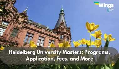 heidelberg university masters