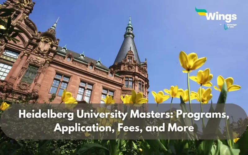 heidelberg university masters