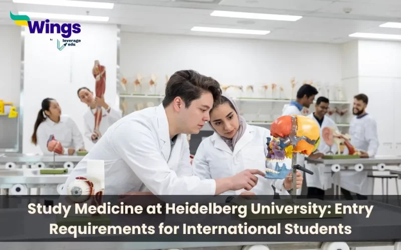 Study-Medicine-at-Heidelberg-University-Entry-Requirements-for-International-Students.