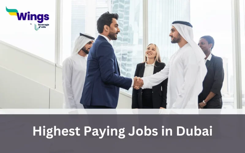 highest paying jobs in dubai