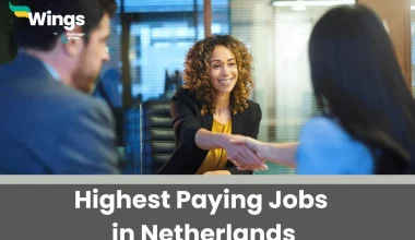 highest paying jobs in netherlands