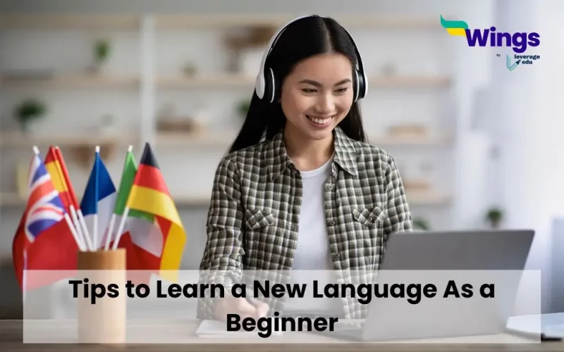 Tips to Learn a New Language As a Beginner