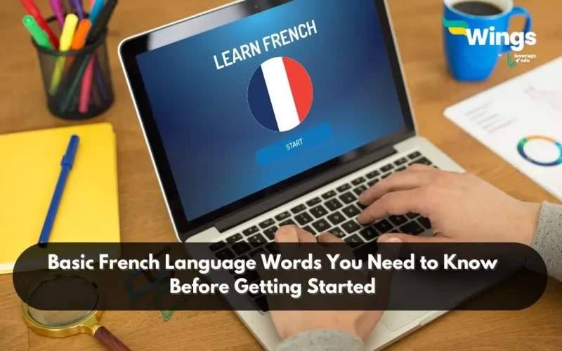basic french language words