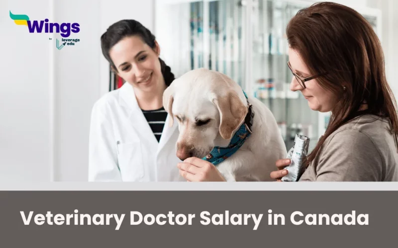 veterinary doctor salary in Canada