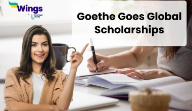 goethe goes global scholarships
