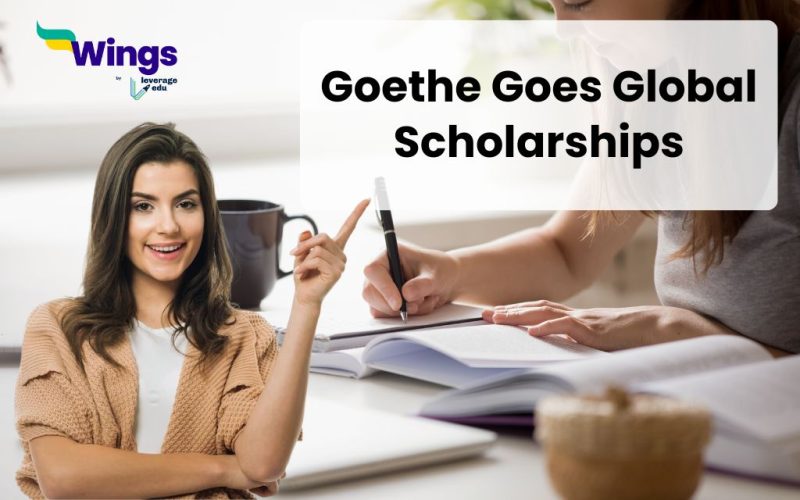 goethe goes global scholarships