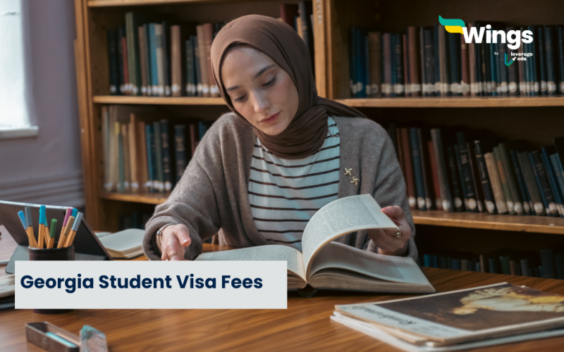 Georgia Student Visa Fees