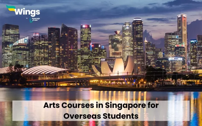 Arts Courses in Singapore for Overseas Students