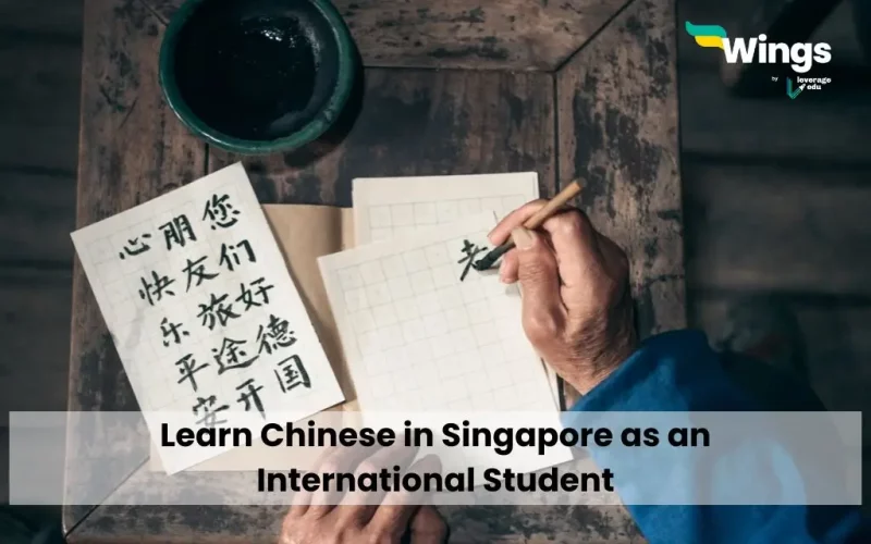 Learn Chinese in Singapore as an International Student