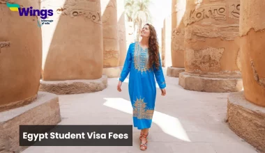 egypt student visa fees